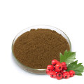 EU NOP Certified Organic Hawthorn Fruit Extract